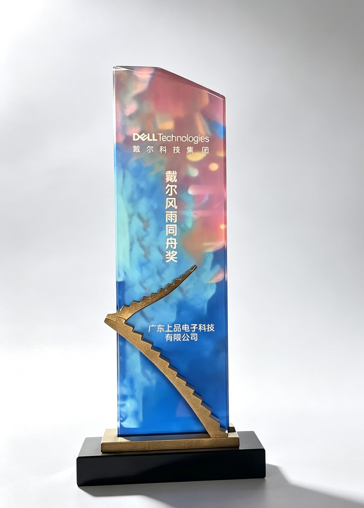 公司资质认证证书 13